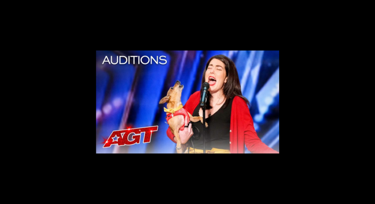 She Brought Her Chihuahua to AGT Claiming He Could Sing—Then His High Note Left Simon Cowell in Stitches She Brought Her Chihuahua to AGT Claiming He Could Sing—Then His High Note Left Simon Cowell in Stitches
